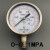 上海天湖Y-100BF不锈钢压力表真空表气压水压0-0.6 1 1.6 2.5MPA 001MPA
