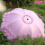 靠森（Kaooseen）太阳伞优雅韩版女神伞蕾丝花边折叠雨伞遮阳防晒伞晴雨两用伞 薄荷绿