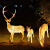 博雷奇LED大型动物景观灯发光梅花鹿草坪灯公园广场园林景观灯户外亮化 鹿妈妈