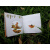 【正版新书】树叶上的小蜗牛 中国民间布贴画艺术大师作品