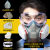 盛融乾 化学实验室防毒面具全面罩喷漆化工防尘面罩防护 311硅胶防尘毒套装+防雾大眼罩