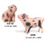 仿真动物模型农场套装场景房屋家禽鸡鸭鹅猫狗奶牛羊马模型玩具 1153花斑猪+385坐姿小猪