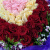 芷荷（ZHIHE）鲜花同城速递99朵红玫瑰花束真花全国花店订花同城北京上海广州 33红玫瑰拼520