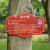 定制树牌挂牌学校公园不锈钢插地牌子植物绿化信息牌铭牌树木介绍 SP-05 24x15cm