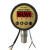 凯迅BD-801K标点数显电接点水泵开关液压真空耐振电子压力表 双继电器BD-805K 1.6MPA