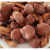 虎钢馋松伞蘑 东北特产 红蘑菇 肉蘑菇 松树伞蘑菇 红蘑 松蘑菇 食用菌2