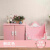 新照（XIN ZHAO）0.35KG 粉红色 环保水性木器漆旧家具翻新改色自刷水性涂料