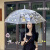 帕恰狗透明雨伞女折叠学生儿童卡通全自.动开收可爱拍照长柄雨伞 紫边库洛米透明自动雨伞