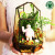 少羽创意DIY迷你苔藓微景观植物办公室桌面盆栽玻璃花房生态瓶 龙猫干杯组装款