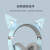 漫步者（EDIFIER）HECATE G5BT蓝牙游戏耳机 电竞头戴式发光猫耳吃鸡手游耳麦女神直播 萌猫版-知更蓝+支架