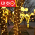 胖进（COZYGO）灯树灯户外缠树亮化灯串 彩灯绕树上的景观线灯装饰灯带 10米100 皮线暖.色