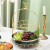 达沃 高档欧式双层水果盘客厅家用网红陶瓷果盘摆件轻奢糖果盘创意 金鹿双层果盘+铁架（绿色）