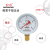 红旗牌仪表YY-60乙炔压力表氩气压力表氮气压力表氢气压力表 0~1MPa