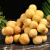 鲜利星龙宫果5斤泰国水果进口热带新鲜龙贡孕妇鲜果3/2/1斤整箱多地次日 精选品质珍惜品种 净重 500g