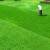 谋福125 草坪垫子工程围挡假草绿色人造人工草皮户外仿真装饰地毯塑料绿植30mm夏草定做(特厚特密)2米*2米