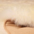 百逸雅百逸雅奥林澳洲羊毛床垫子皮毛一体床褥子冬季保暖真皮床垫加厚 象牙白 1.5M*2M床