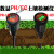 土壤酸度计ph值酸碱度水分温湿度分析仪PH计EC土壤检测仪测土仪器 KS-06