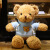 小熊公仔玩偶泰迪熊毛绒玩具送情人节礼物夜市套圈娃娃 黄卫衣白熊 30cm熊