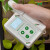 叶绿素检测仪测定仪植物营养测量计手持式叶面无损氮含量测量仪器 HM-YB型