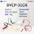 北京六一 DYCP-31CN 琼脂糖水平电泳仪（注） DYCP-31CN 
