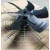 YLS冷却塔风机电机空调外电机江苏华顺达瑞波同驰三相电机380V 370-8P 380V全新线