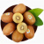 新西兰佳配jiapei奇异果 进口金果黄心绿心猕猴桃时令新鲜水果 绿果30枚原箱 大果 103- 120g