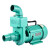 污水自吸泵大流量1.5寸2寸3寸220V离心水泵增压泵井水抽水机 双叶轮50WB12-38Z(2200W)