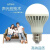 家小优欧洲出口品质led声控灯泡楼道室内照明声光控E27白光雷达球泡3W5W 3W x 白 声光控灯泡(1个装)