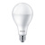 飞利浦（PHILIPS）经济型LED球泡灯泡卧室光源螺口 23W E27 冷光6500K 1个