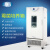上海一恒 BPMJ霉菌培养箱 多段程序液晶控制器 BPMJ-500F