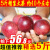 纯香果 广西百香果 新鲜水果 生鲜优选 净重 5斤【大果】单果50-100g
