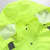 禹顺 荧光绿反光雨衣交通警示成人分体反光衣摩托车骑行加厚防水服套装 荧光绿上衣+绿裤 2XL-180