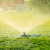 自动旋转浇水喷头园林灌溉喷淋头园艺淋菜淋水洒水器喷水菜园草坪 浅蓝色
