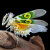 非洲大刺花螳螂活体办公室另类宠物另有兰花眼斑弧纹绿巨澳宽 1龄