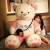 跃越（yueyue）可爱熊毛绒玩具特大号泰迪熊猫抱抱熊布娃娃玩偶带 粉色生日快乐 胖版全长约1.8米礼品袋装+小熊+