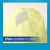 京斯坦 鸭舌帽带透气网格孔可调节无尘车间工作帽 硬舌帽（松紧带）黄色10顶 