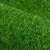 居拾忆 仿真草坪脚垫人工户外人工草坪塑料装饰绿植足球场幼儿园绿围挡假草皮垫 10mm军绿色50平方/卷