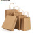 安达通 牛皮纸手提袋 纸质包装袋外卖打包袋10个装 25*23.5*15cm竖版