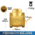 黄铜止回阀水管水泵用逆止阀自来水单向阀 大型DN80(硬密封)(3寸)