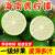 果真秀海南新鲜青柠檬皮薄多汁香水绿色有籽柠檬整箱批发 4500g 60-80g