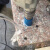 勋狸粑大理石开孔器花岗岩专用钻头瓷砖陶瓷钻孔器石材打孔开孔转头 6MM单槽