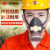唐丰防毒防尘口罩 面具专业喷漆化工农药甲醛活性炭面覃 防毒面具+3包活性炭