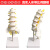 山顶松 人体腰椎模型 成人正骨胸椎 脊椎脊柱骨模型人体颈椎骨椎体关节模型 自然大三节腰椎 