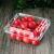 一次性水果盒 超市一次性水果包装盒透明塑料盒水果500M水果店一 1500克果蔬盒-50个