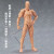 笛芳素体人体模型美术绘画参考男女工具摆件关节可动人偶 ：【男】灰色+【女】灰