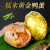 青阳山端午节糯米咸鸭蛋 黄金蛋腊肉味小吃糯米蛋熟食 10枚*65g