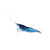 USTINOIMG蓝丝绒淡水草缸热带观赏宠物活体纯系除藻虾米工具清洁虾 20只亚成体(0.8~1.2cm)