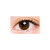 日本直邮 CHOUCHOU月抛美瞳彩色隐形眼镜1片装 直径14.2mm 1#Olive橄榄绿 0度平光一枚装