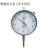 桂林百分表0-3-5-10-30-50-100山字指针示表带钻高精度量具 030mm