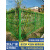 户外仿竹护栏新农村改造不锈钢菜园围栏耐用铝合金仿竹节管篱笆厚 仿竹屏风